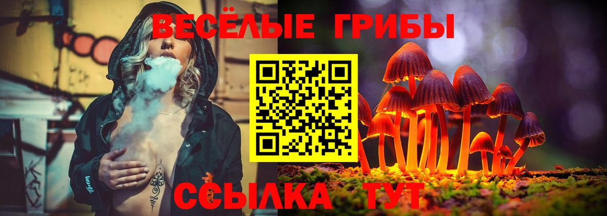 Галлюциногенные грибы GOLDEN TEACHER  закладка  Реутов  Вход с VPN 
